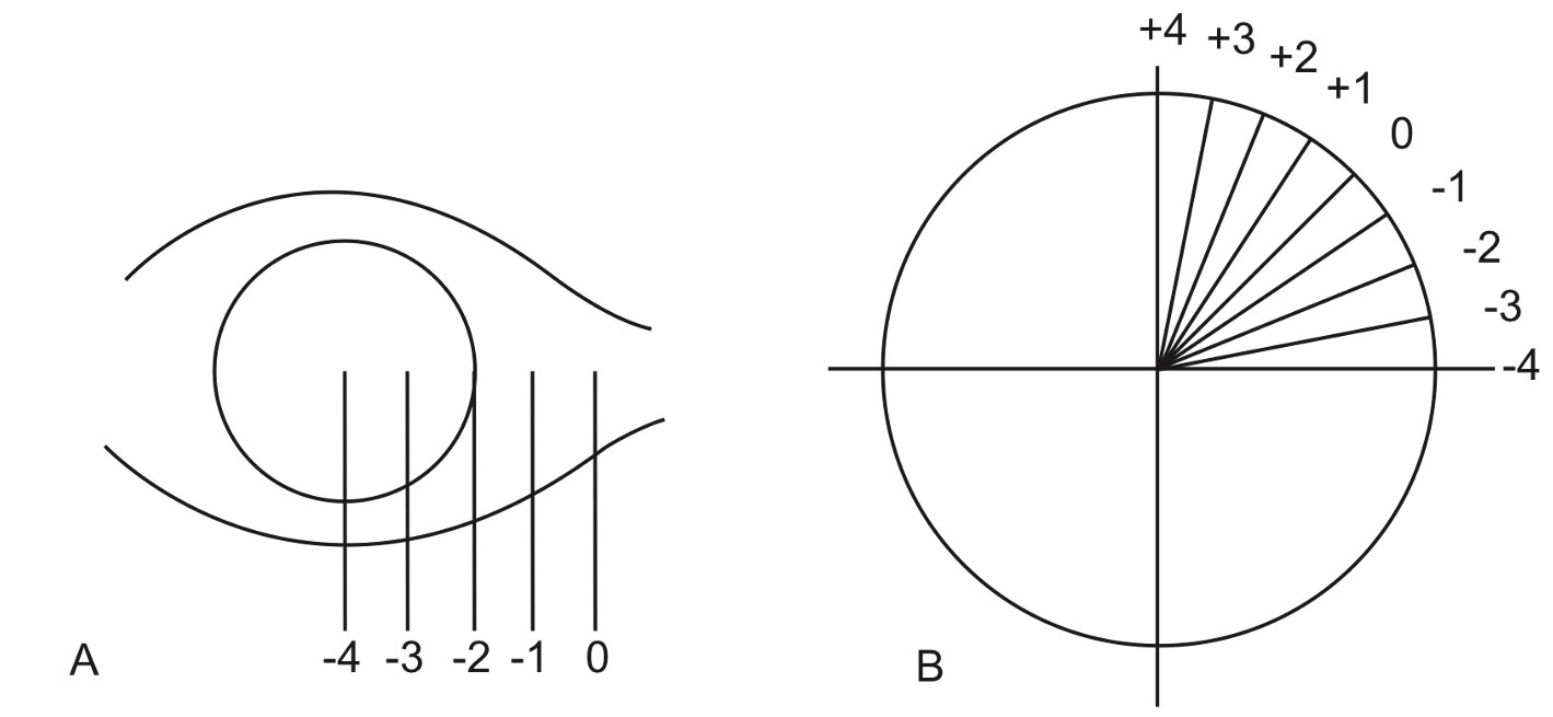 Figure 6.1.1 Grading and Documenting Ocular Rotations