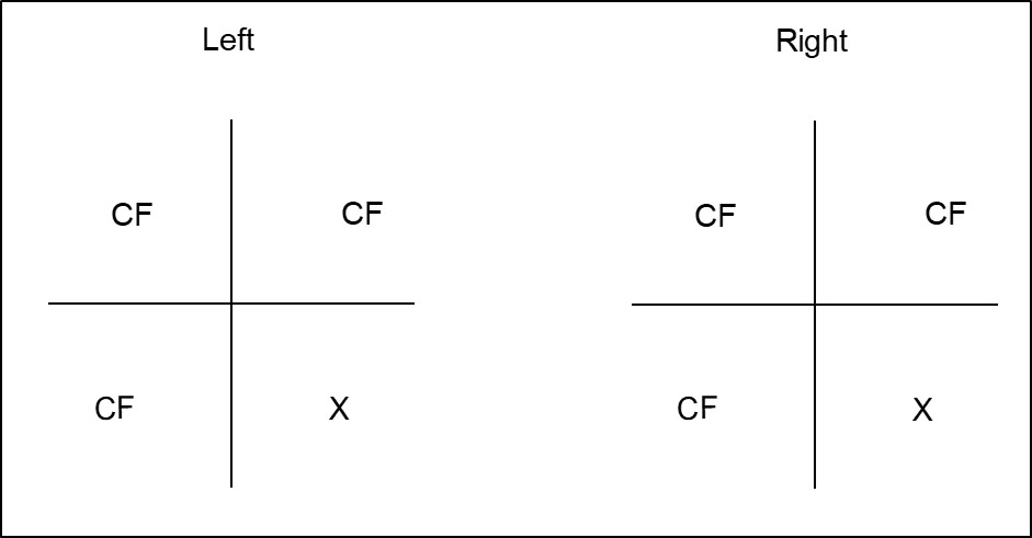 Figure 7.6.2 Documenting Visual Field Defects