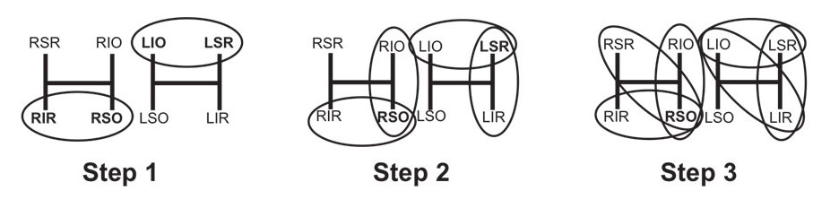 Figure 7.2.3 Parks-Bielschowsky Three-Step Test