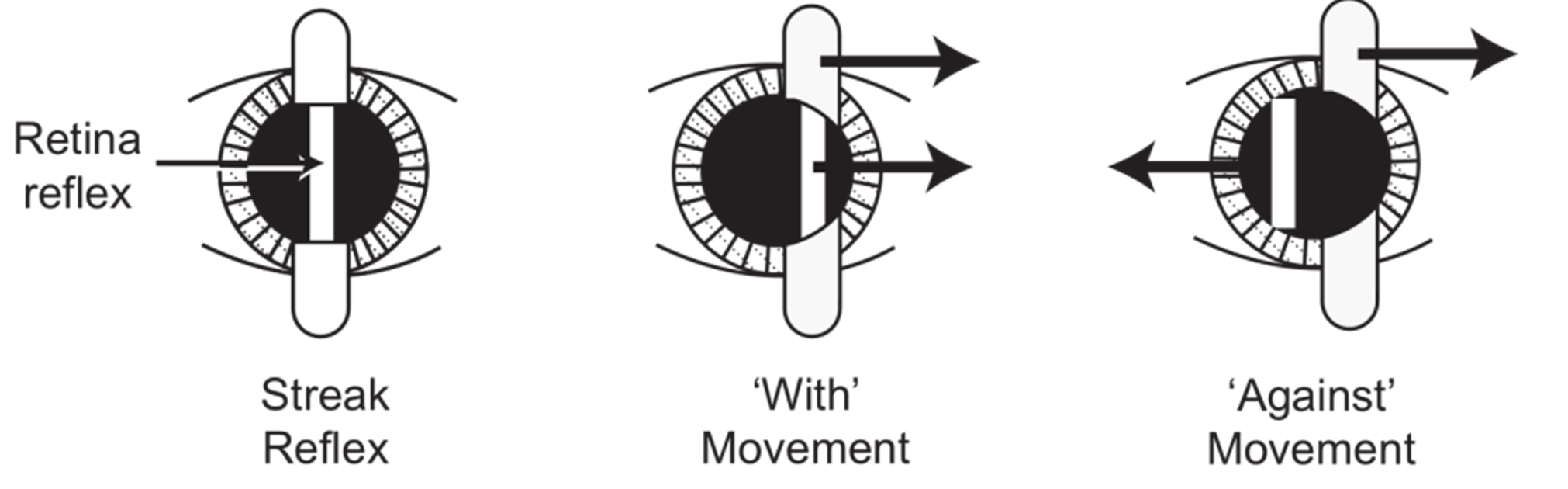 Figure 8.1.2 Finding the Power